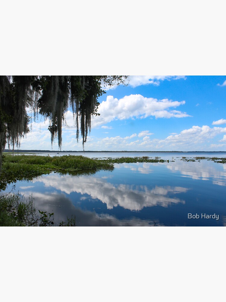 "Lochloosa Lake" Sticker for Sale by BobHardy Redbubble