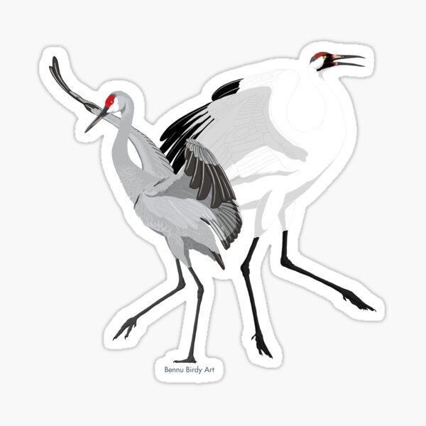 Item preview, Cranes of North America designed and sold by BennuBirdy.