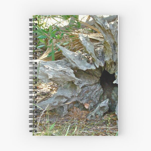 Item preview, Fallen Tree Roots becomes Art designed and sold by 2CrabbySisters.