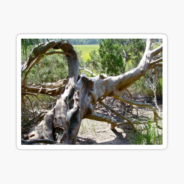 Item preview, Twisted Branches become Art designed and sold by 2CrabbySisters.
