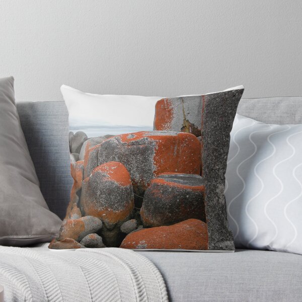 Item preview, Rocks and Orange Lichen, Binalong Bay, Tasmania, Australia. designed and sold by kaysharp.