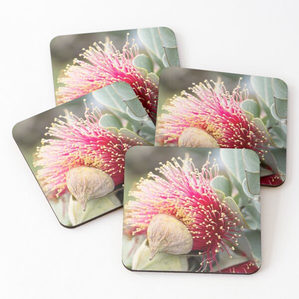 Item preview, Western Australian wildflower - Mottlecah designed and sold by Life Images by Jill .