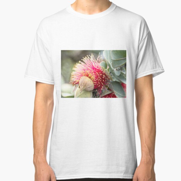 Western Australian wildflower - Mottlecah Classic T-Shirt