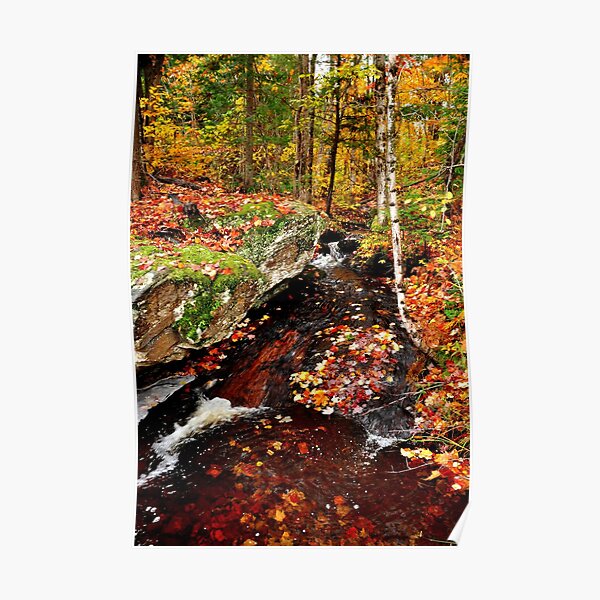 Backcountry Stream Poster
