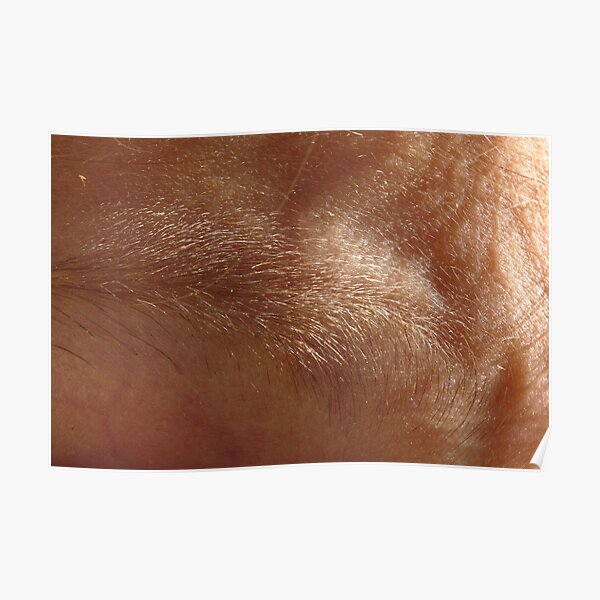 eye brow Poster