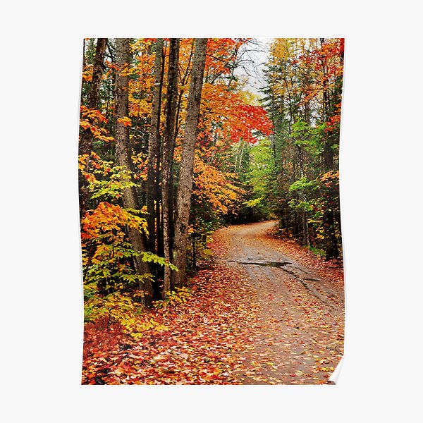 Autumn Study - Oxtongue River Road Poster