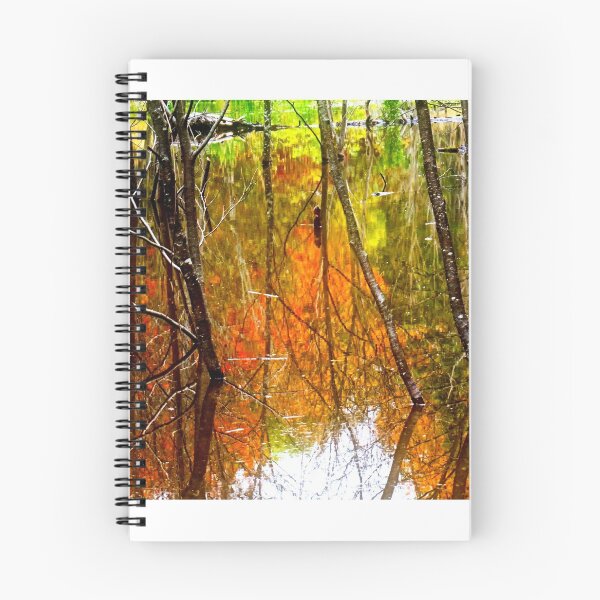 Item preview, Beaver Pond at Range Lights designed and sold by colorfulbundles.