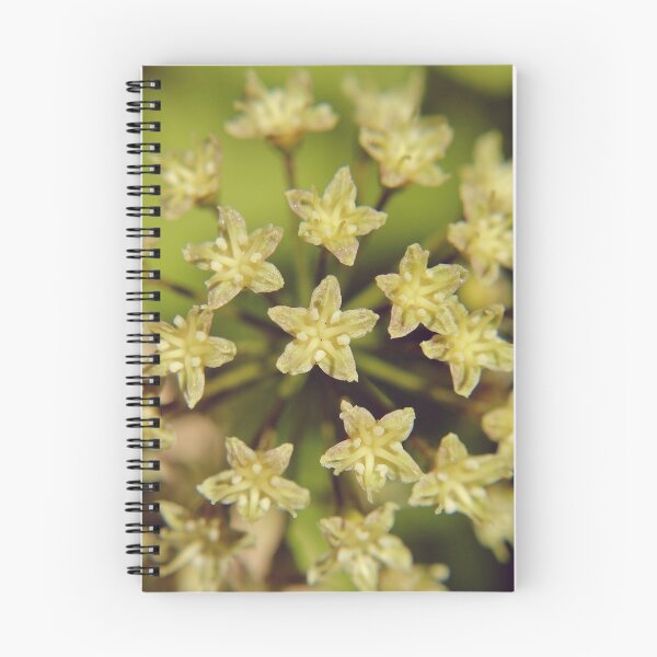 Item preview, American Ginseng designed and sold by Kathleen Daley.