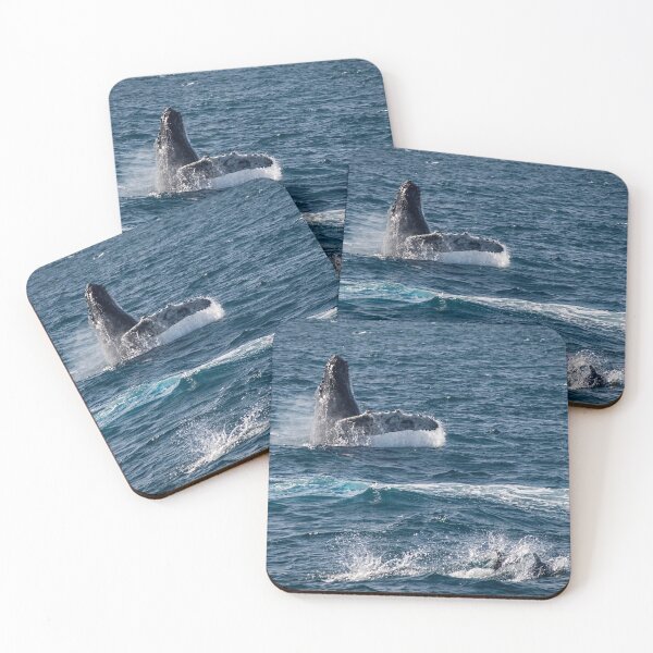 Item preview, Playful sea mammals designed and sold by Art in Nature.
