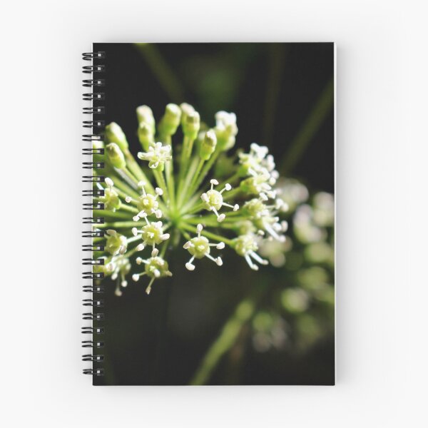 Item preview, Wild Sarsaparilla IV designed and sold by Kathleen Daley.