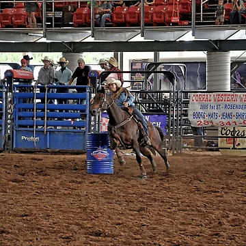 Artwork thumbnail, Texas Rodeo by Savannah Gibbs