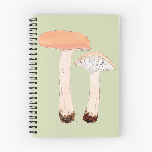 Item preview, Lactarius clarkei by Kay Smith designed and sold by BiosecurityColl.