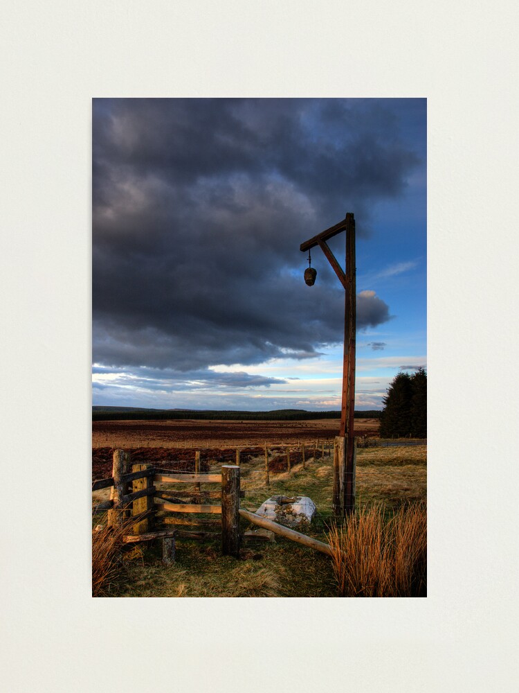 Alternate view of Winters Gibbert Photographic Print
