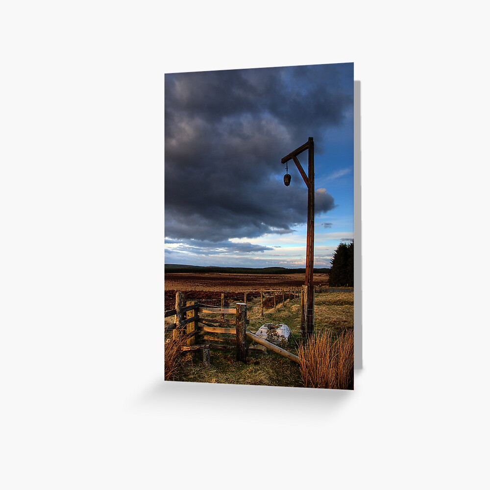 Item preview, Greeting Card designed and sold by tontoshorse.