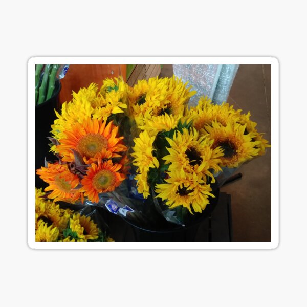 SunFlowers Sticker