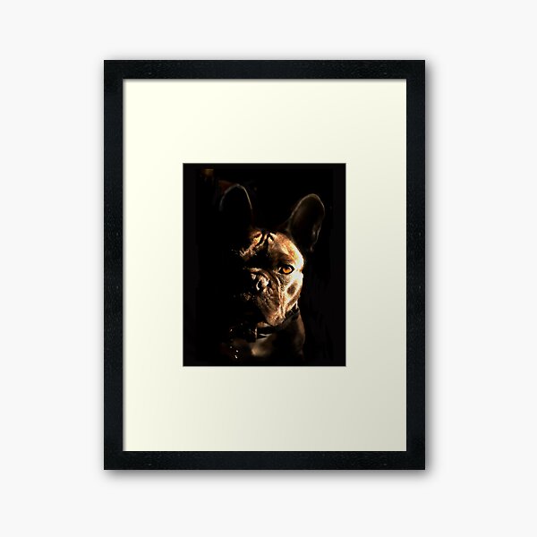 Framed Art Print