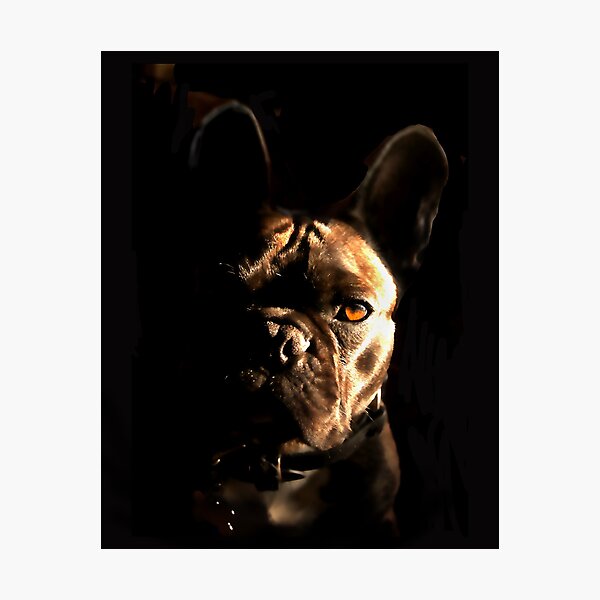 DEXTER Photographic Print