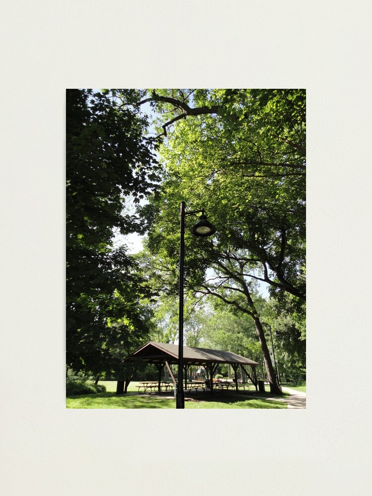 Alternate view of Green light means GO Photographic Print