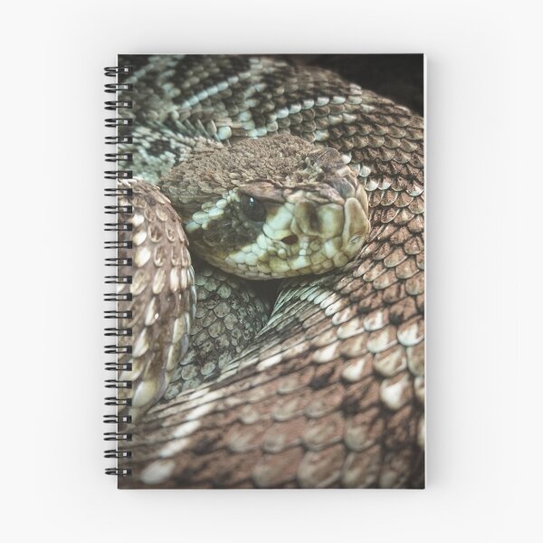 Item preview, Snake, Coiled Diamondback Rattlesnake designed and sold by Heathermarie321.