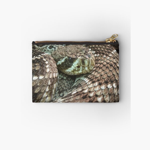Item preview, Snake, Coiled Diamondback Rattlesnake designed and sold by Heathermarie321.