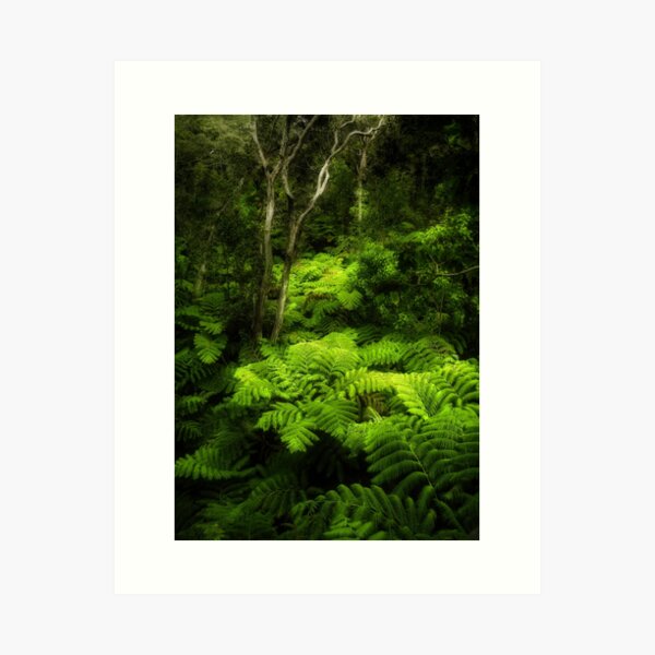 Item preview, Fern Forest designed and sold by Yves Rubin.