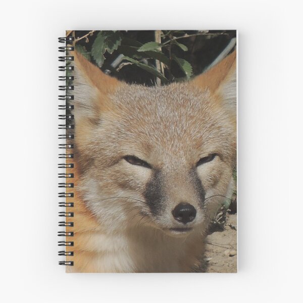 Artikelvorschau, Schneller Fuchs entworfen und verkauft von annAHorton.