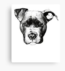 American Pit Bull Terrier Face Design - A Pittie Christmas Gift Canvas Print