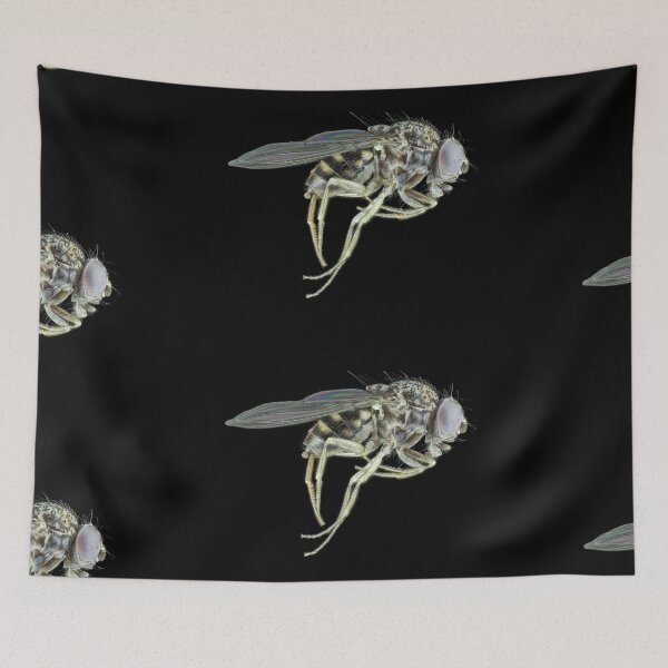 Item preview, Tiny fly designed and sold by SDym Photography.