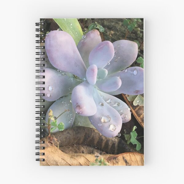 Item preview, Succulent #2 in morning dew designed and sold by BrieCreative65.