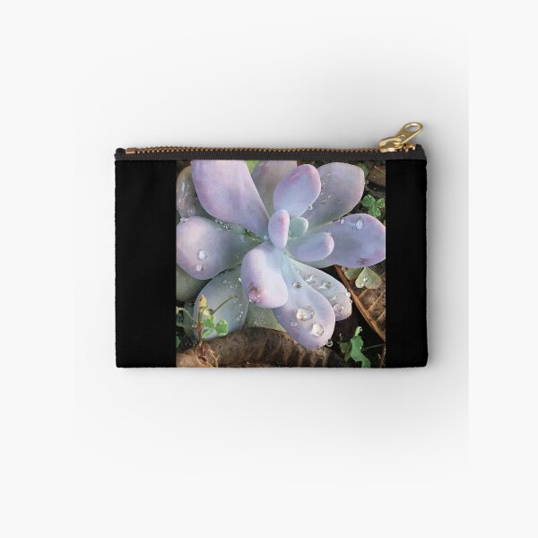 Item preview, Succulent #2 in morning dew designed and sold by BrieCreative65.