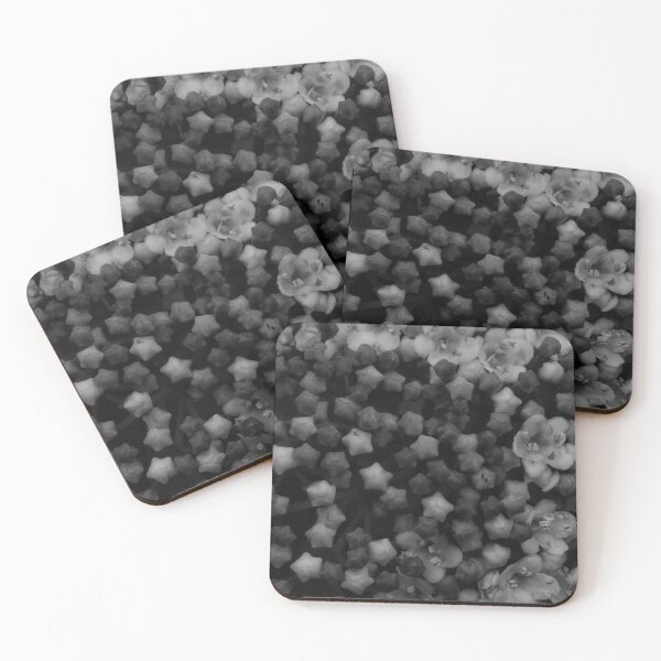 Item preview, Floral Stars -Black and White designed and sold by The Rage Garden.