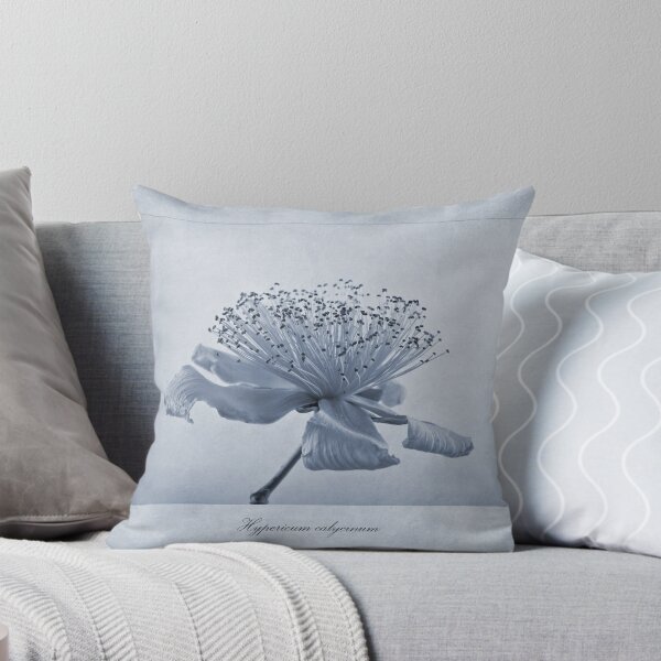 Item preview, Hypericum calycinum Cyanotype designed and sold by Creative by Design.