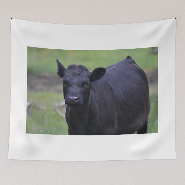 Item preview, Black Angus Calf designed and sold by Ally Peter.
