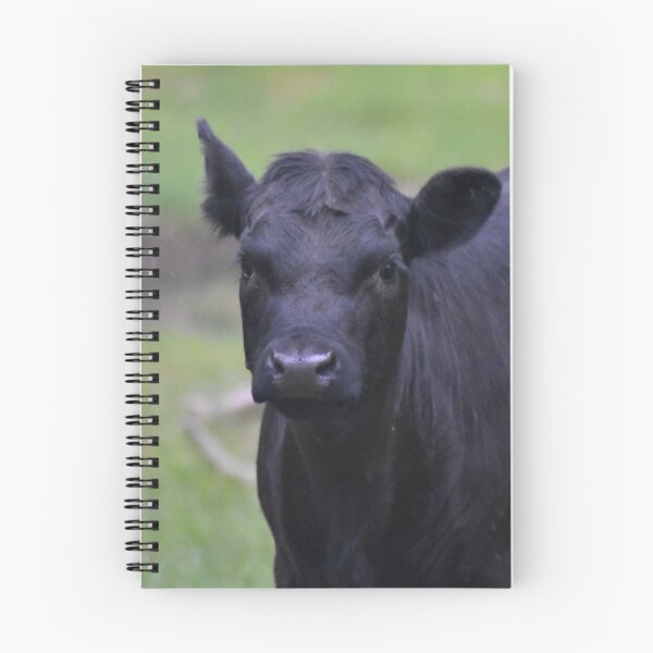 Item preview, Black Angus Calf designed and sold by Ally Peter.