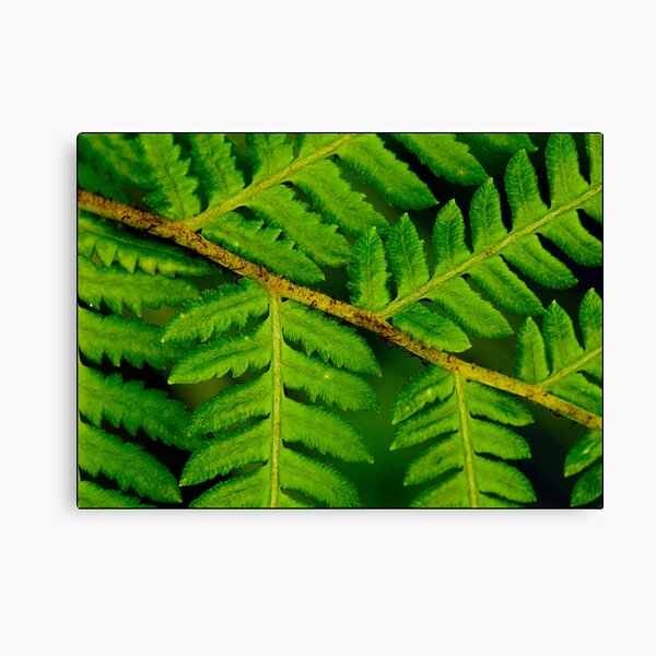 Item preview, Nature's Design designed and sold by Melissa Gurdus.