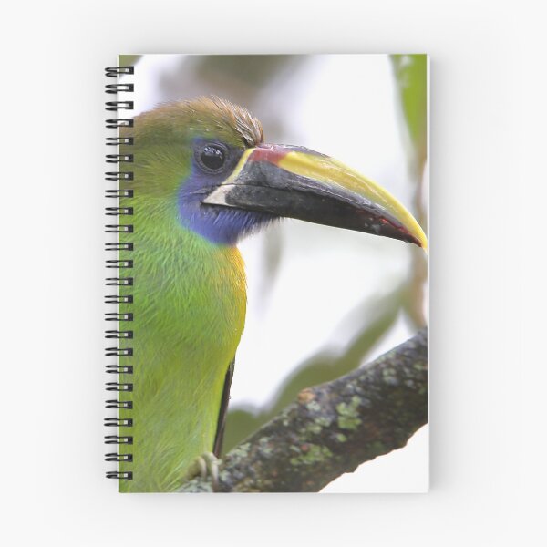 Item preview, Blue-throated Toucanet designed and sold by Carole-Anne.
