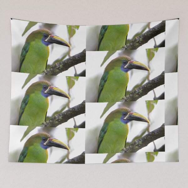 Item preview, Blue-throated Toucanet designed and sold by Carole-Anne.