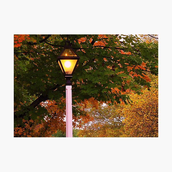 First Light Photographic Print
