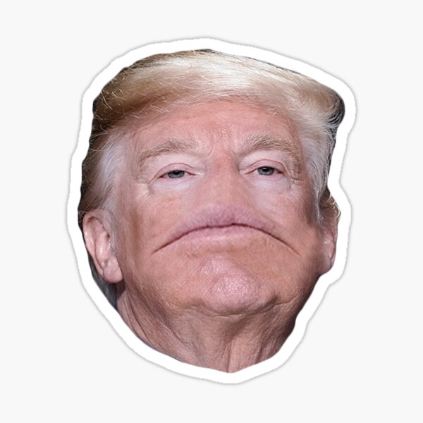 Vista previa del artículo con la obra «Maldito Donald Trump», diseñado y vendido por virtualheaven.