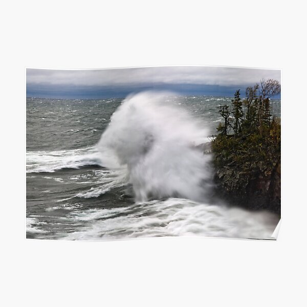 Lions Head Poster