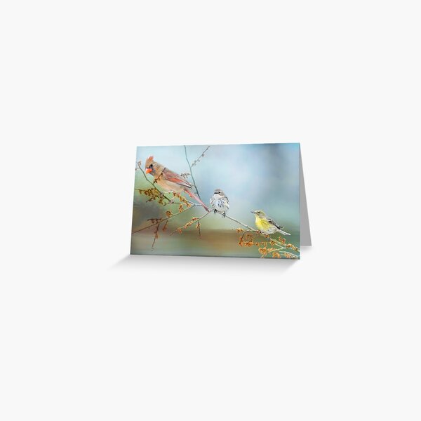 Item preview, Feathered Friends designed and sold by Bonnie T.  Barry.