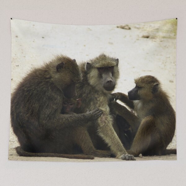 Item preview, Maasai Mara - Tom's Baboons designed and sold by ellenhenry.