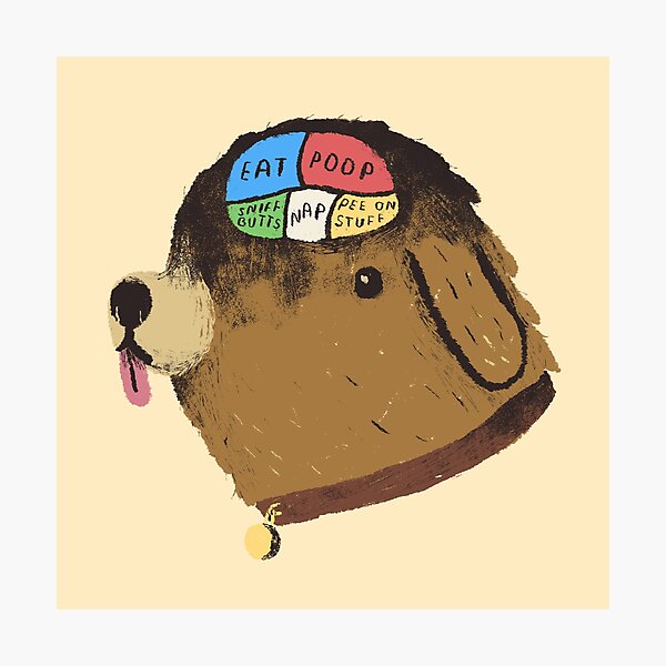 Item preview, dog phrenology designed and sold by louros.
