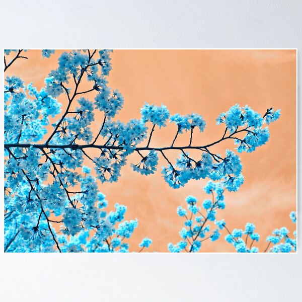 Item preview, Blue Blossoms designed and sold by vitoz.