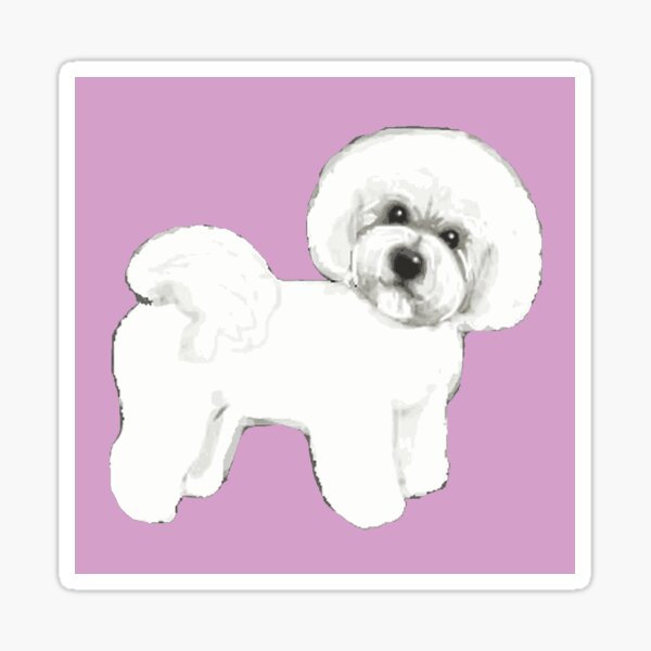 Bichon Frise Dogs on lilac, purple Sticker
