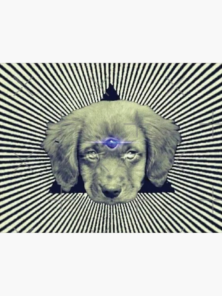 Crisp Third Eye Dog Landscape Illustration Crisp Third Eye Dog Landscape Illustration