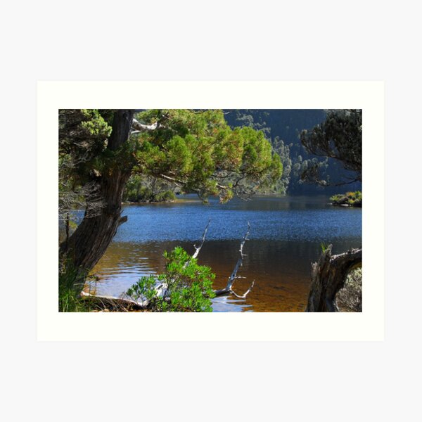 Nice light on Dove Lake Art Print