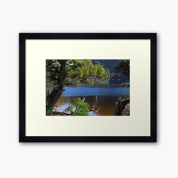 Nice light on Dove Lake Framed Art Print