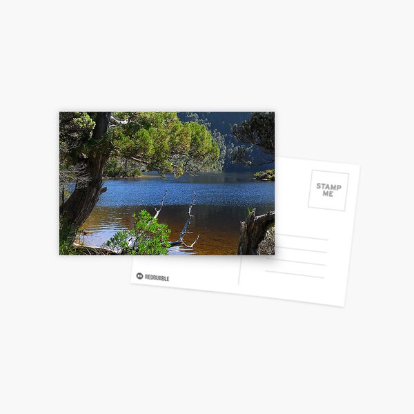 Nice light on Dove Lake Postcard
