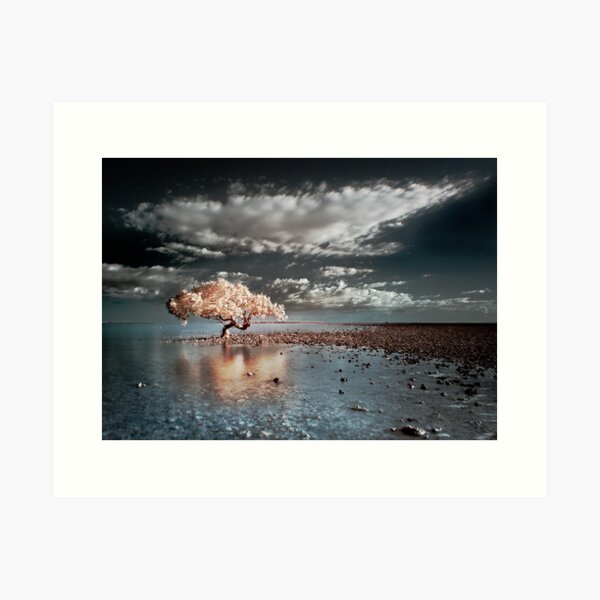 King Island Art Print
